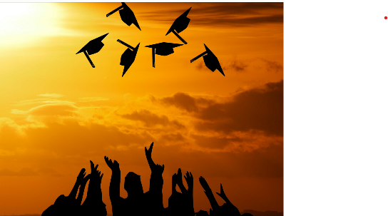 Master of Business Administration